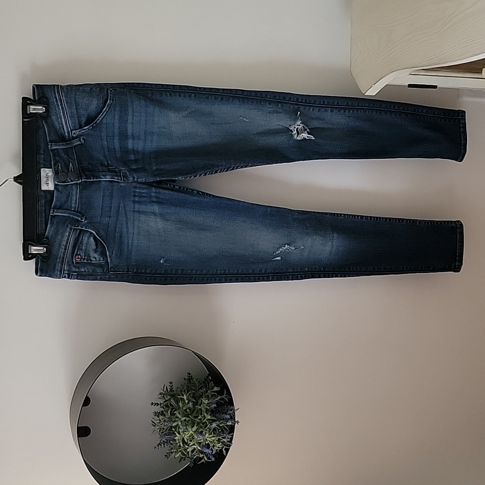 Hudson Collin Flap Skinny Ankle Jeans